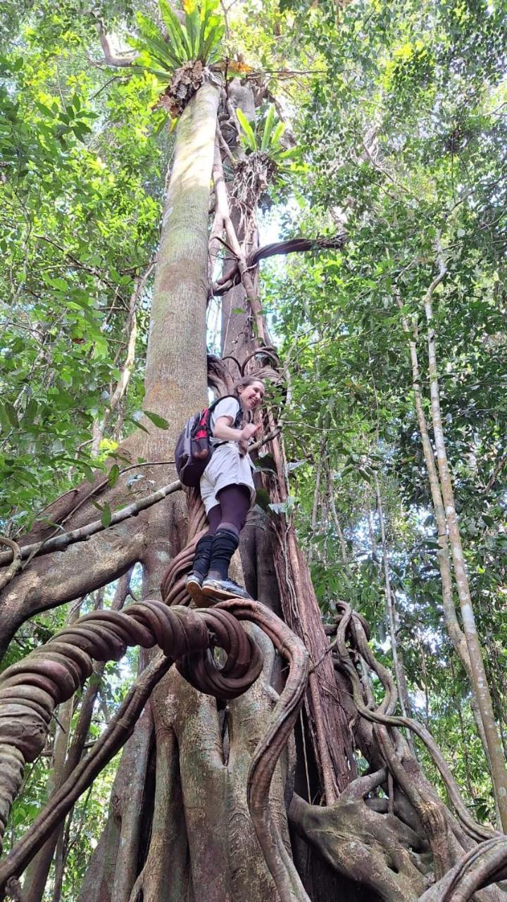 Batu Kapal Guest House & Jungle Trekking Bukit Lawang Zewnętrze zdjęcie