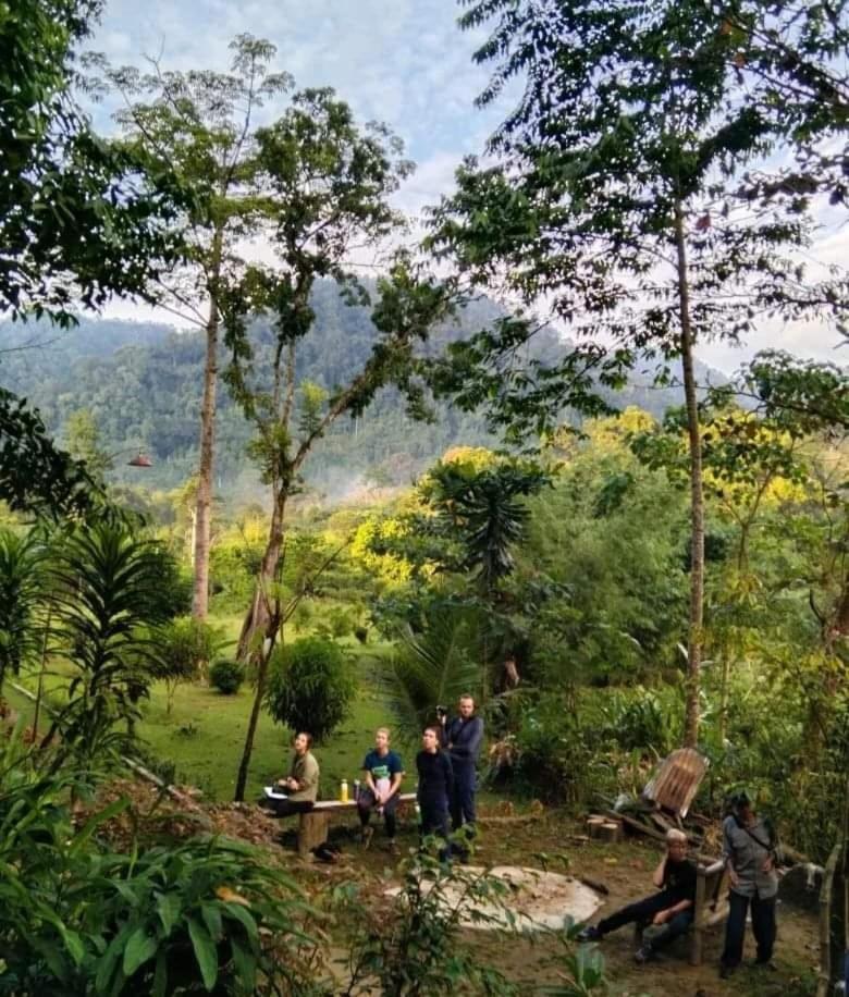 Batu Kapal Guest House & Jungle Trekking Bukit Lawang Zewnętrze zdjęcie