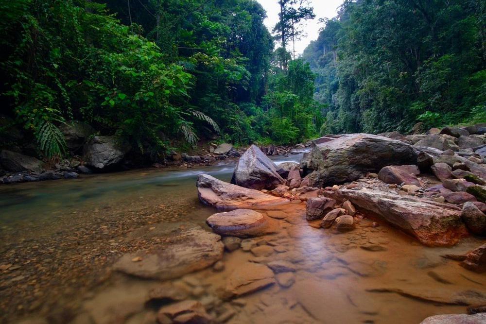 Batu Kapal Guest House & Jungle Trekking Bukit Lawang Zewnętrze zdjęcie