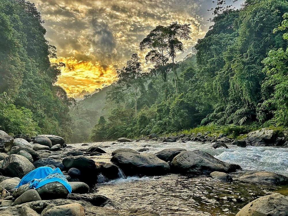 Batu Kapal Guest House & Jungle Trekking Bukit Lawang Zewnętrze zdjęcie