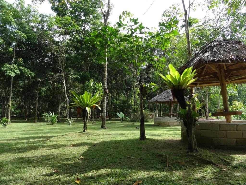 Batu Kapal Guest House & Jungle Trekking Bukit Lawang Zewnętrze zdjęcie