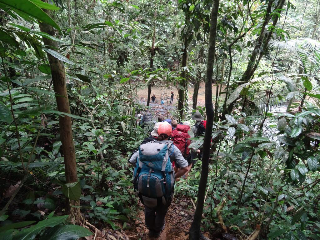 Batu Kapal Guest House & Jungle Trekking Bukit Lawang Zewnętrze zdjęcie
