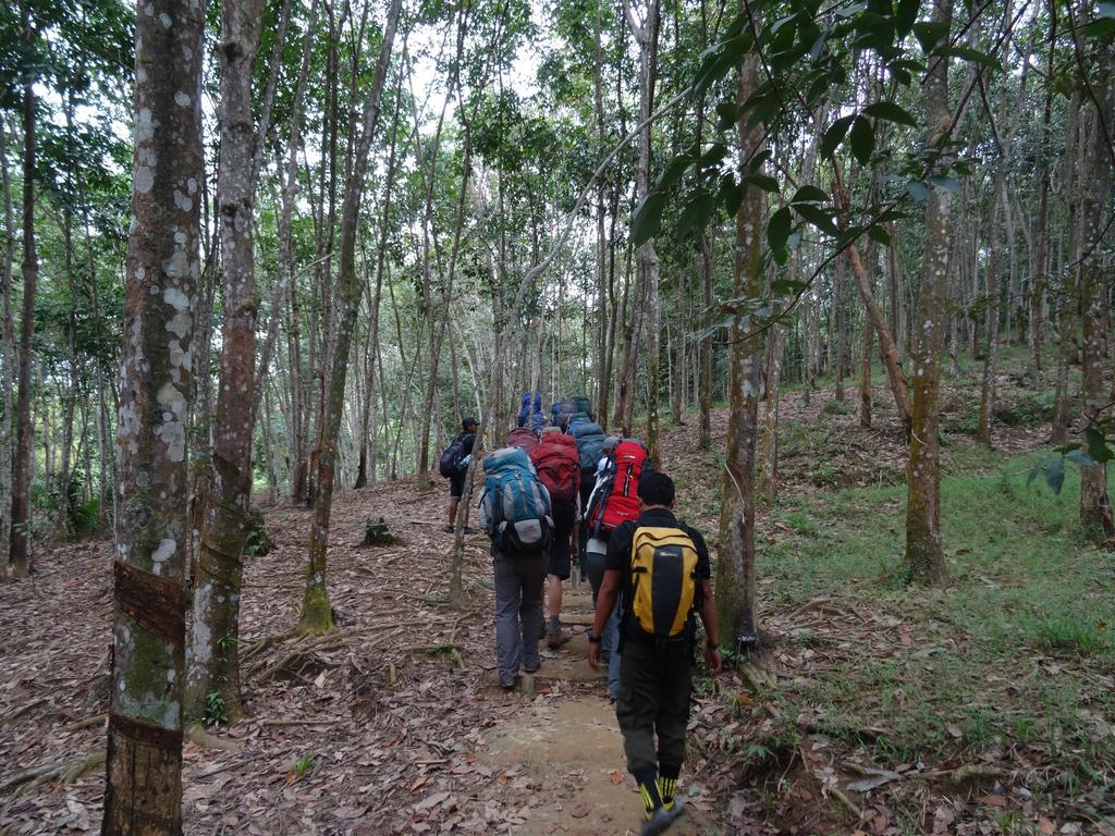 Batu Kapal Guest House & Jungle Trekking Bukit Lawang Zewnętrze zdjęcie